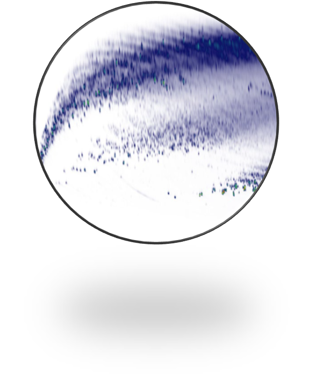 Superior sensitivity Superior sensitivity